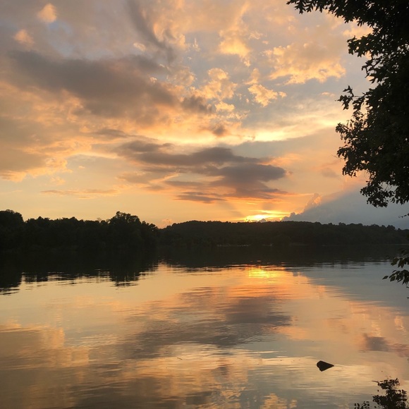 Meet your Posher, Alexa - Picture 1 of 1